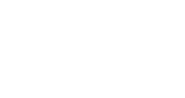 Logo Staleks